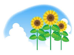 熟年離婚その後 復縁したブロガーさん お茶のいっぷく