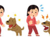 飼い犬に手を嚙まれる、彼女はなぜ豹変したのか？